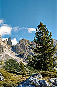 Trekking nel Parco Naturale Puez-Odle. Da Passo Gardena al Rifugio Puez.